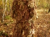 Ghillie Anzug von Ghost Recon