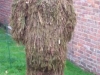 ghillie von barth