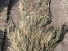 ghillie von ghost