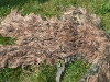 ghillie von sören