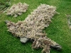 ghillie von tommi