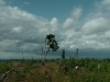 imga0015