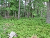 imga0020