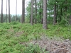 imga0021