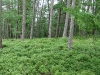 imga0022