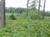 imga0023