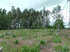 imga0025