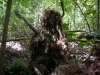 dsci2363vqlp