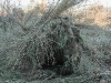 20110116_163949