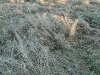 20110116_164136