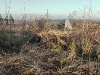 20110116_164636