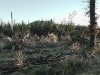 20110116_165613