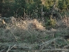 20110116_165658