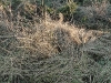 20110116_165742