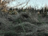 20110116_170102
