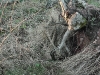 20110116_170800