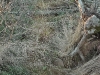 20110116_171054