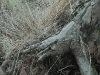 20110116_171220
