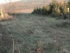 20110116_171631