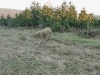 20110116_172253
