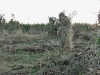 20110116_173445