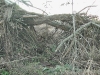 20110116_173718