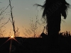 20110116_174129