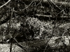 img_8757