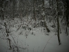 dsci0685sypz