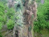 th20100609_052713