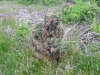 th20100609_052756