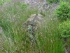 th20100609_052836