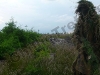 th20100609_052914