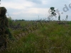th20100609_053005