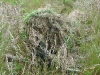 th20100609_171559
