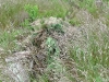 th20100609_171740