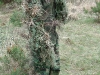 20100515_123458