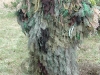 20100515_123510