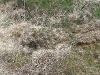 20100515_124806
