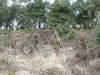 20100515_124931