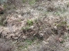 20100515_124957