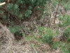 20100515_141827