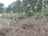 20100515_150403