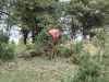 20100515_152802