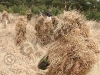 20100515_162351