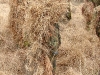 20100515_162416