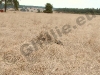 20100515_163719