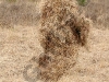 20100515_163724