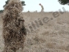 20100515_165035